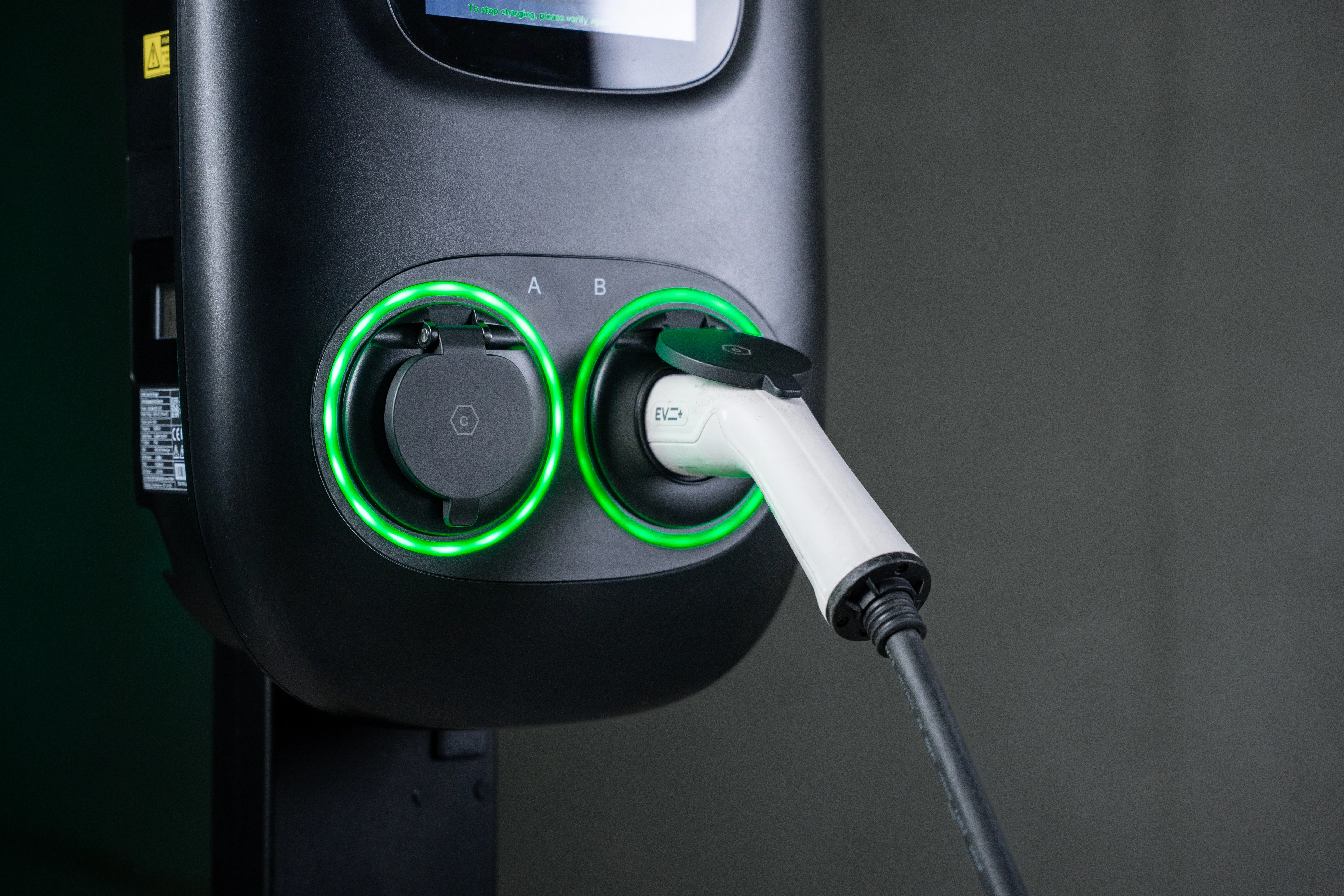 Two Pro dual socket close-up with cable